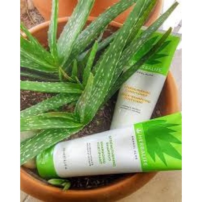 HERBALİFE HERBAL ALOE SAÇ KREMİ