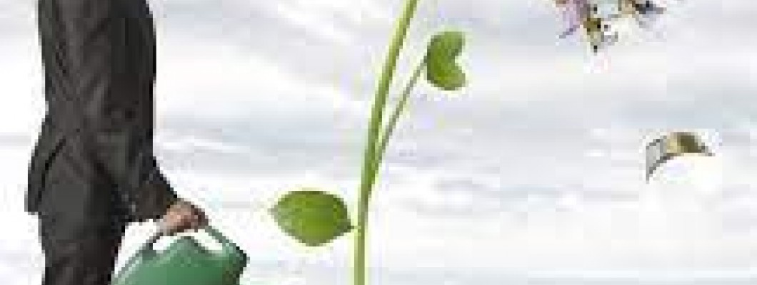 HERBALİFE ÜYELİĞİ İLE KENDİ İŞİNİZİ KURUN HERBALİFE ÜYELİK